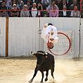 JCD_35455