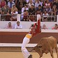 IMG_0520