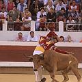 IMG_0521