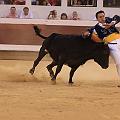 IMG_0532