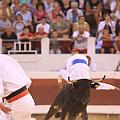 IMG_0540