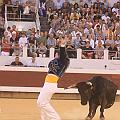 IMG_0542