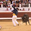 IMG_0550