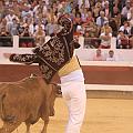 IMG_0559