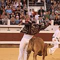 IMG_0575