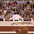 IMG_0581