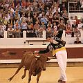 IMG_0590