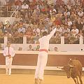 IMG_0593