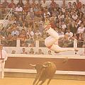 IMG_0595