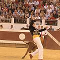 IMG_0603