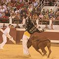 IMG_0607