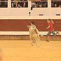 IMG_0631