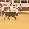 IMG_0636