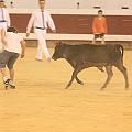 IMG_0638