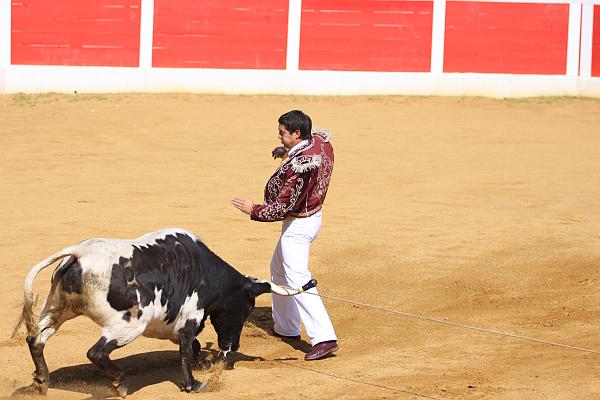 IMG_9288