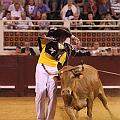 JCD_43188
