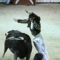 IMG_0035