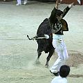 IMG_0036