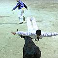 IMG_0047