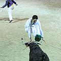 IMG_0049