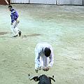 IMG_0052