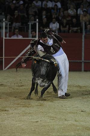 JCD_43608