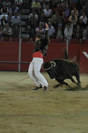 JCD_43647