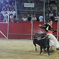 JCD_43679