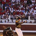 IMG_0455