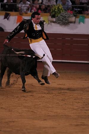 JCD_61347