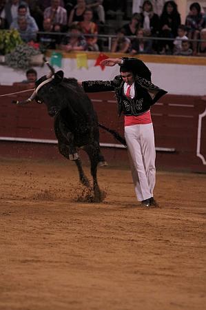JCD_61351