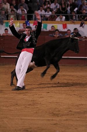 JCD_61353