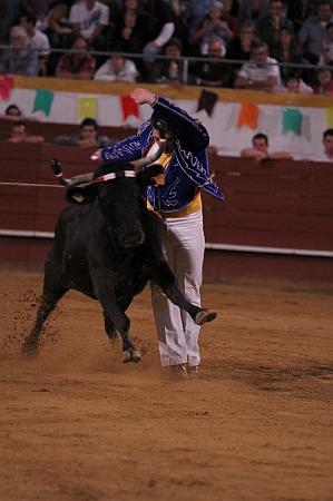 JCD_61378