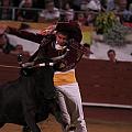 JCD_61381