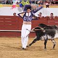 JCD_61462