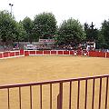 IMG_8065