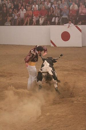 JCD_47056