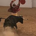 JCD_47169