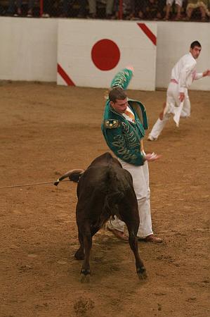 JCD_73311