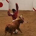 JCD_73343