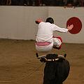 JCD_73366