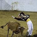 IMG_5285
