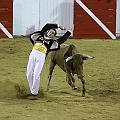 IMG_5289