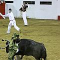IMG_5336