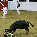 IMG_5338