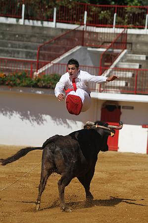 JCD_59110