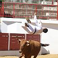 JCD_59169