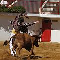JCD_59196