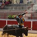 JCD_59216