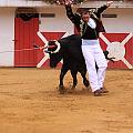 IMG_8456